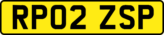 RP02ZSP