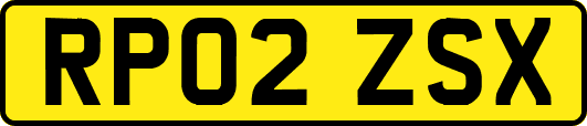 RP02ZSX