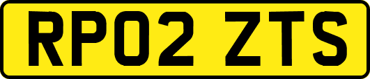 RP02ZTS