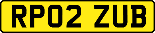RP02ZUB