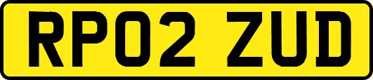 RP02ZUD