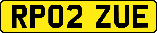 RP02ZUE