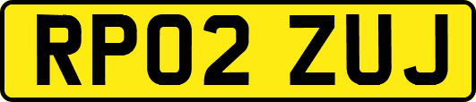 RP02ZUJ