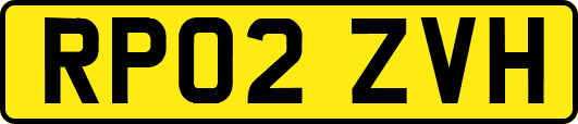 RP02ZVH
