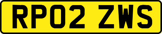 RP02ZWS