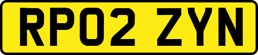 RP02ZYN