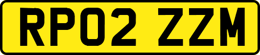 RP02ZZM
