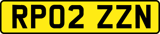 RP02ZZN