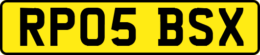 RP05BSX