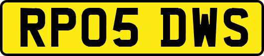 RP05DWS
