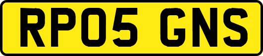 RP05GNS