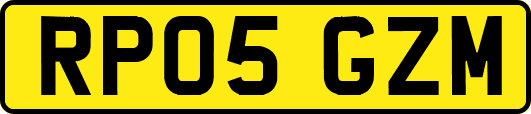 RP05GZM