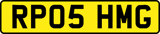 RP05HMG