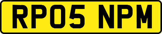 RP05NPM