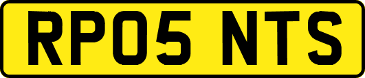 RP05NTS
