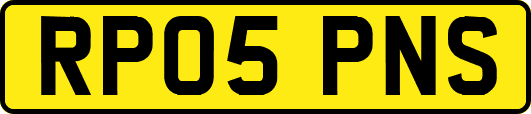 RP05PNS
