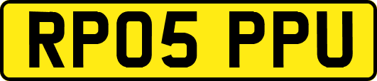 RP05PPU