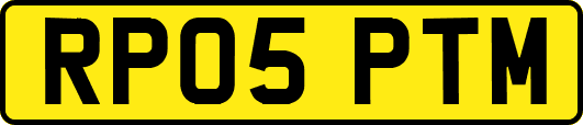 RP05PTM