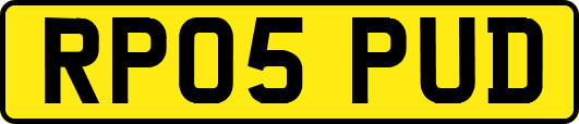 RP05PUD