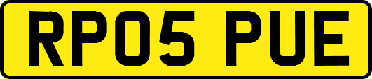 RP05PUE