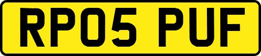 RP05PUF