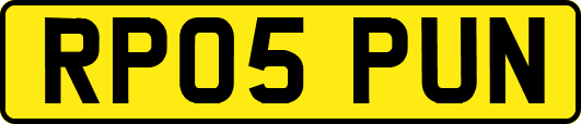 RP05PUN