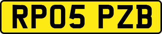 RP05PZB