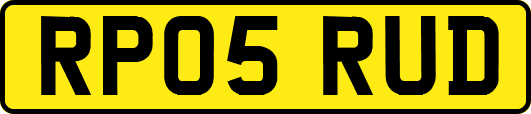 RP05RUD