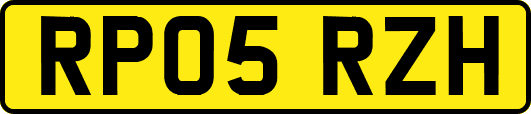 RP05RZH