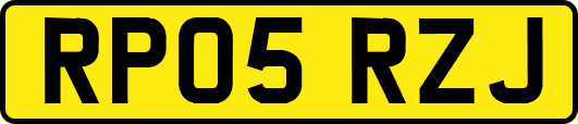 RP05RZJ