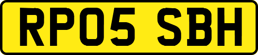 RP05SBH