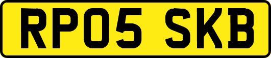 RP05SKB