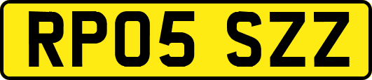 RP05SZZ