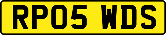 RP05WDS