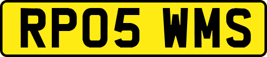 RP05WMS