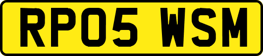 RP05WSM
