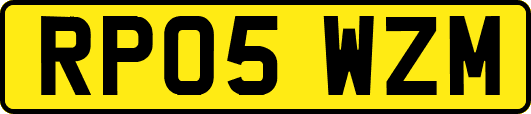RP05WZM