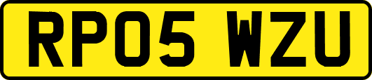 RP05WZU