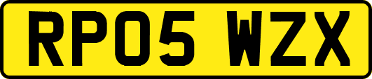 RP05WZX