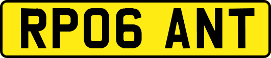 RP06ANT
