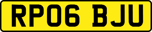 RP06BJU