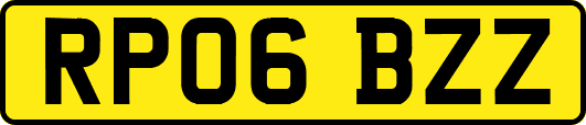 RP06BZZ
