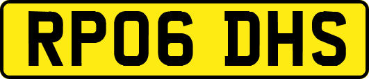 RP06DHS