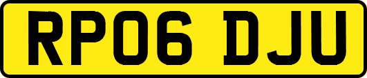 RP06DJU