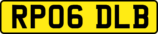 RP06DLB