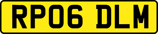 RP06DLM