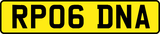 RP06DNA