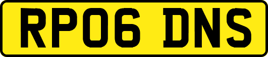 RP06DNS