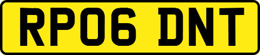 RP06DNT