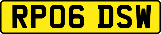 RP06DSW